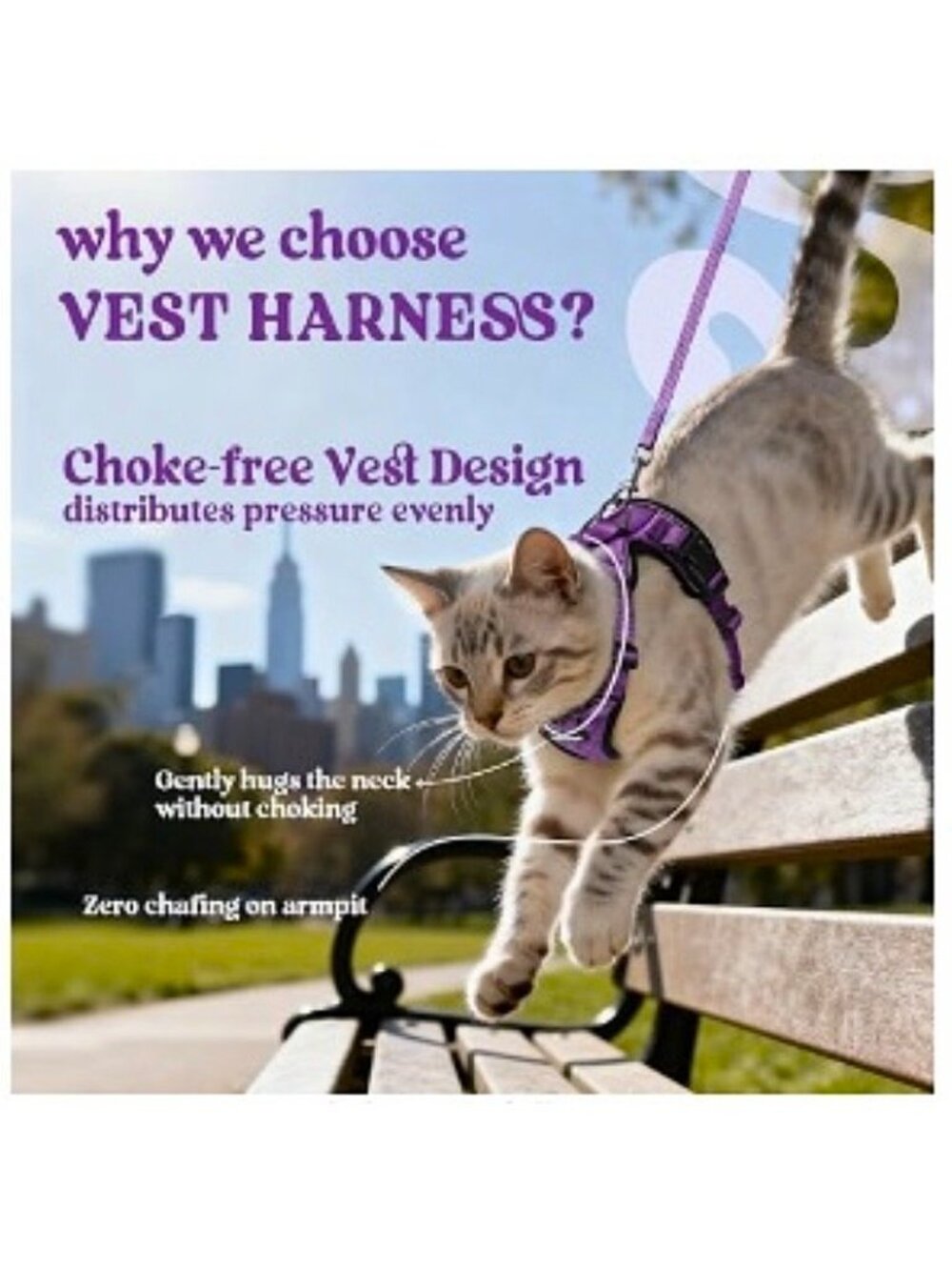 Rabbitgoo Escape Proof Cat Harness, Leash Set NW0T